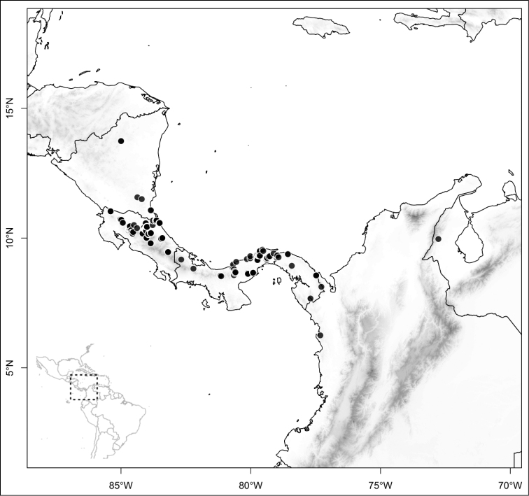 Figure 148.