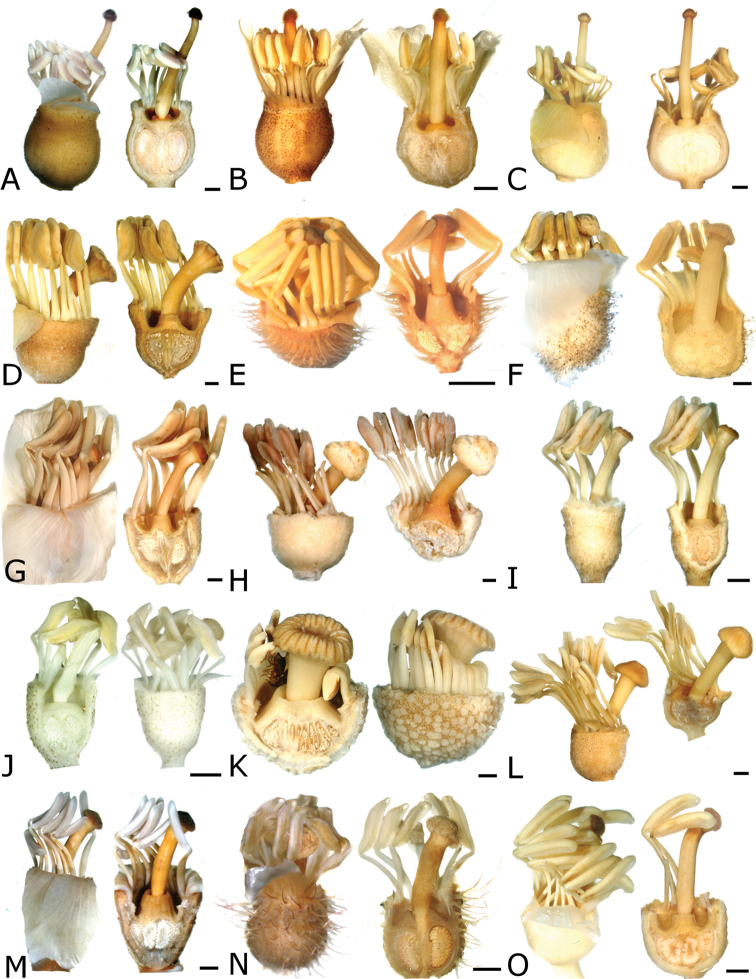 Figure 42.