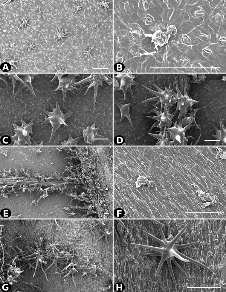 Figure 29.