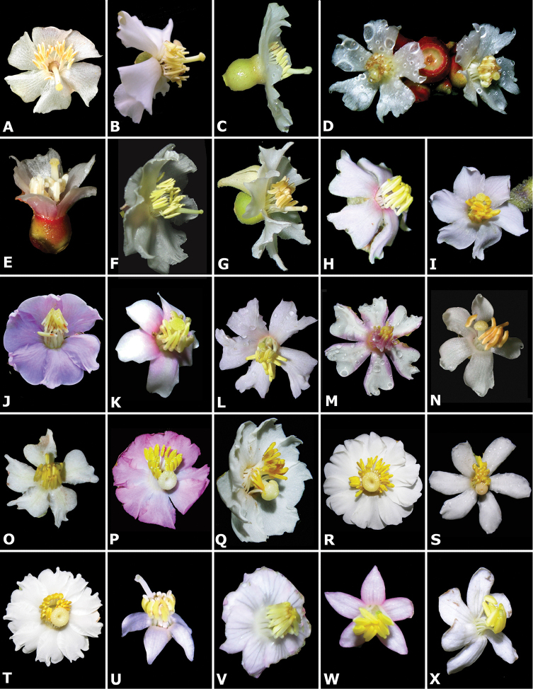 Figure 40.