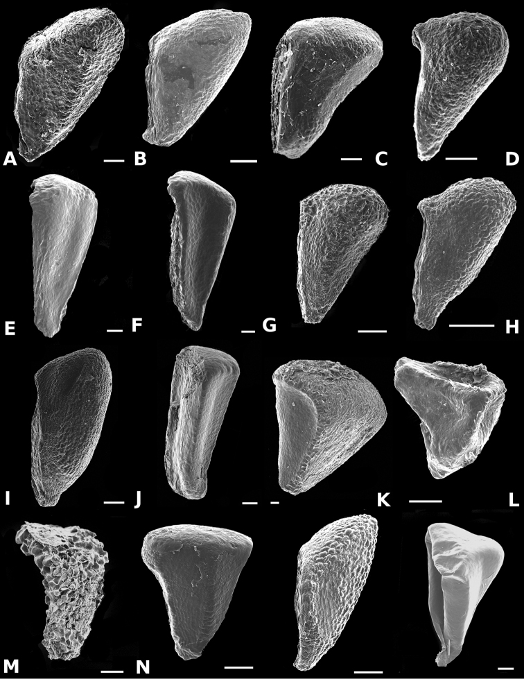 Figure 62.