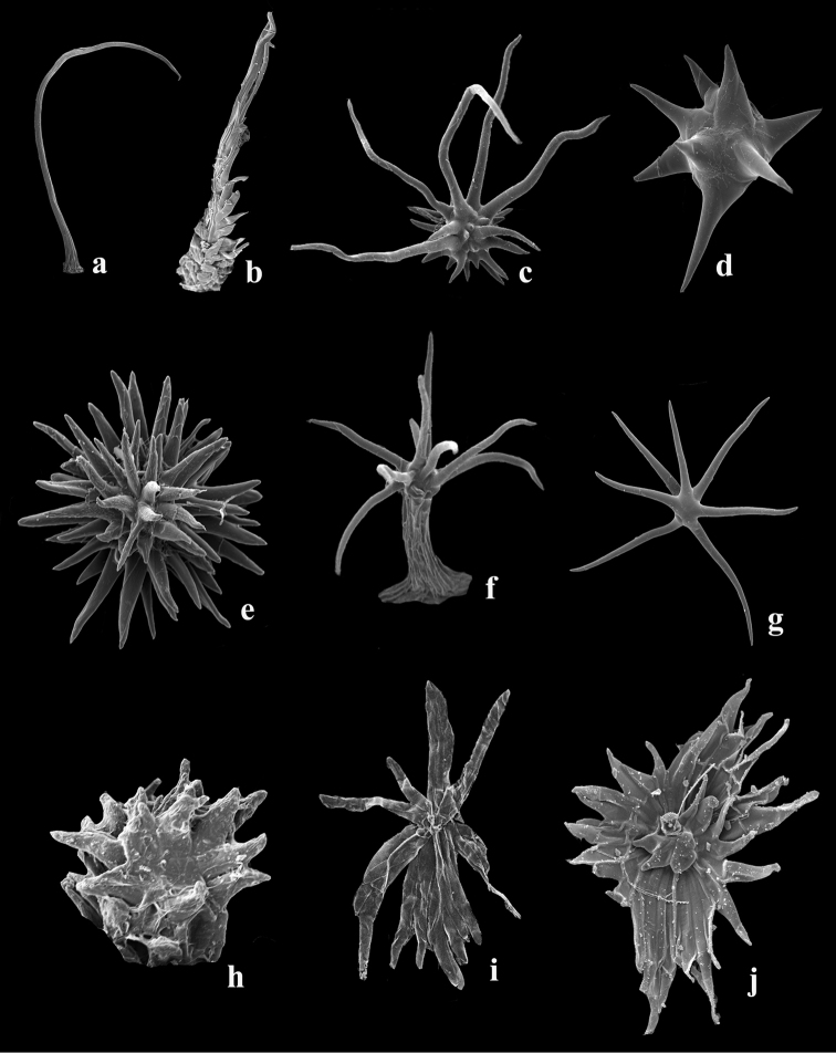 Figure 19.
