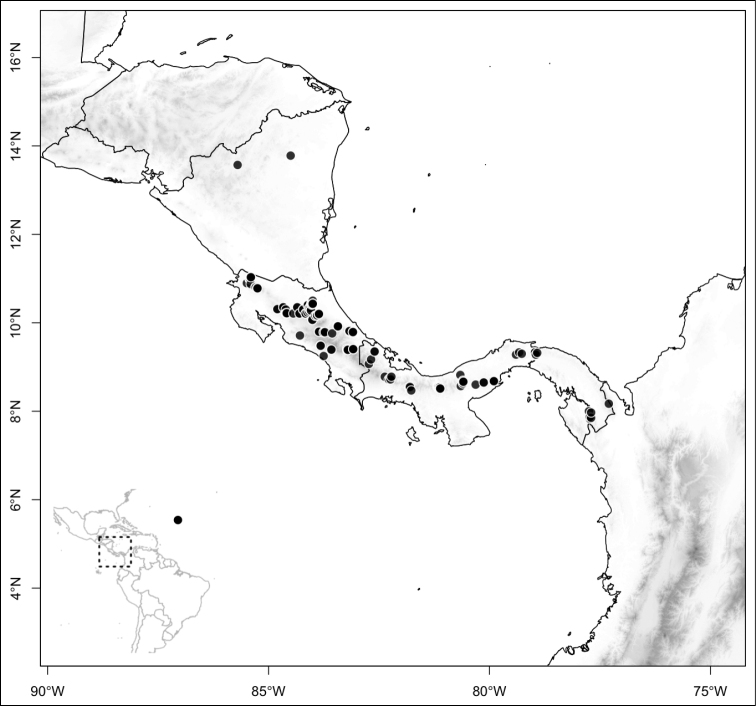 Figure 177.
