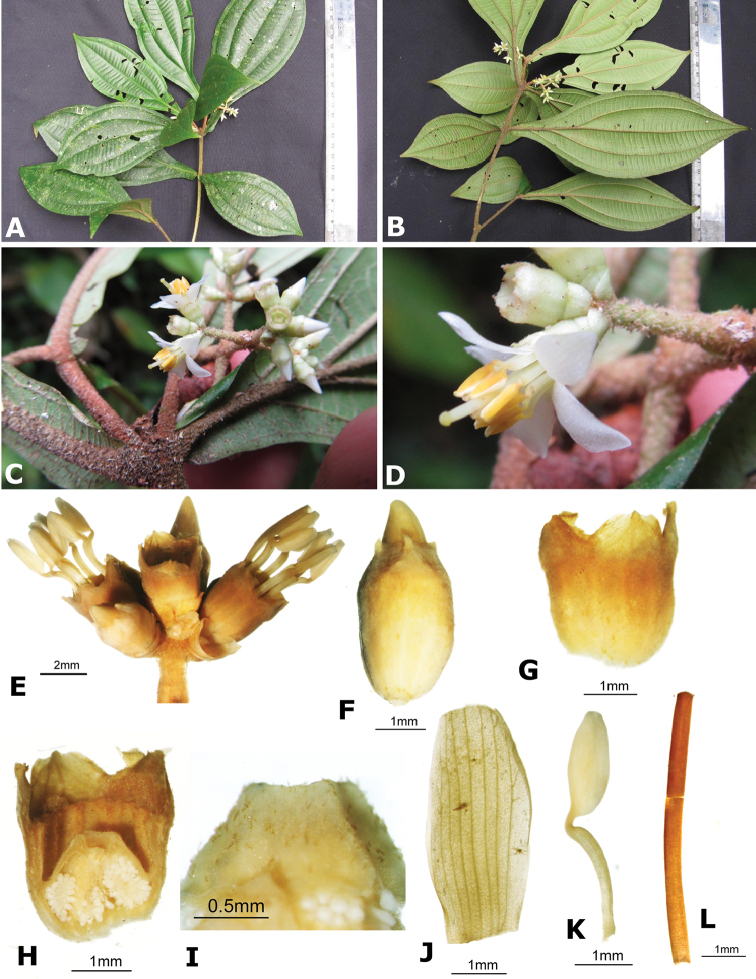 Figure 186.