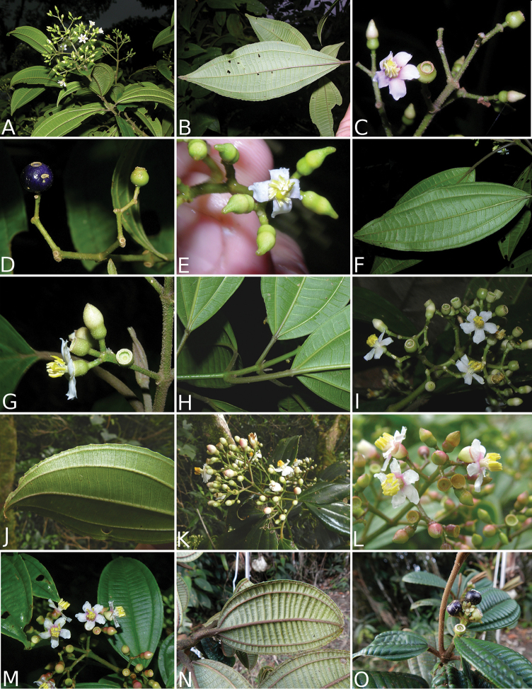 Figure 90.