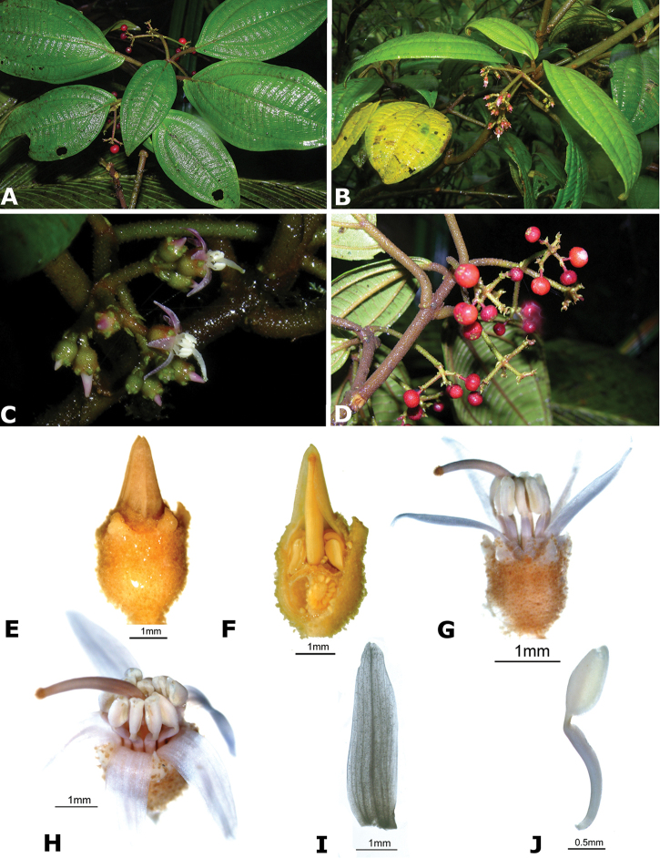 Figure 158.