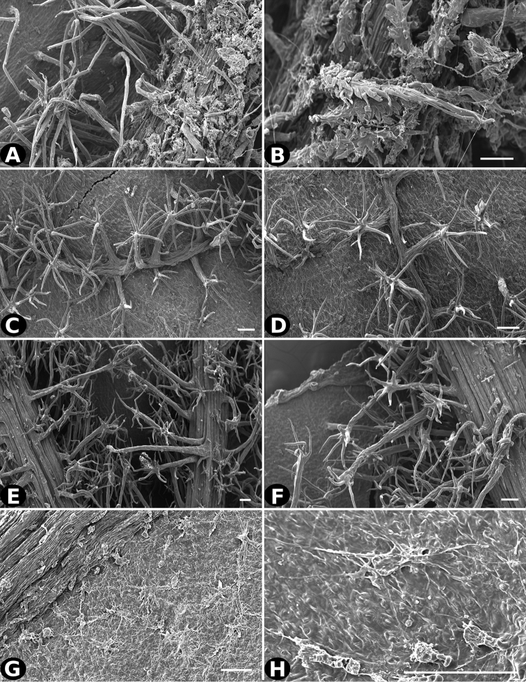 Figure 27.