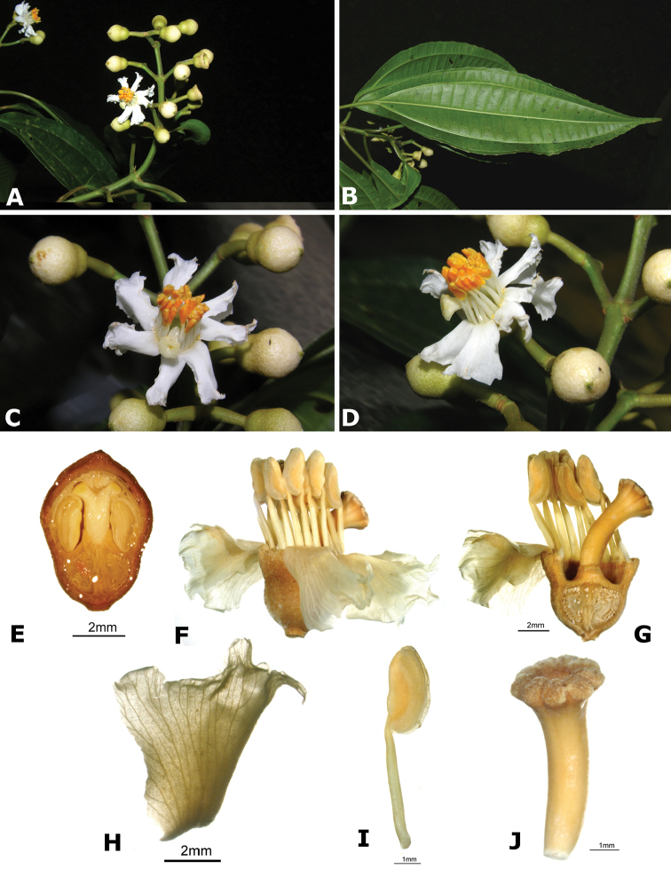 Figure 65.