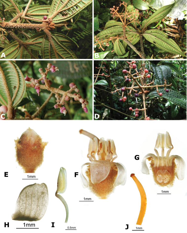 Figure 180.