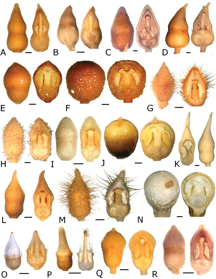 Figure 34.