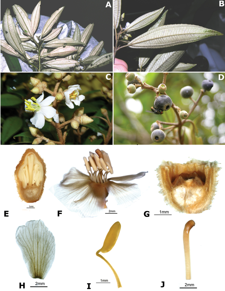Figure 201.