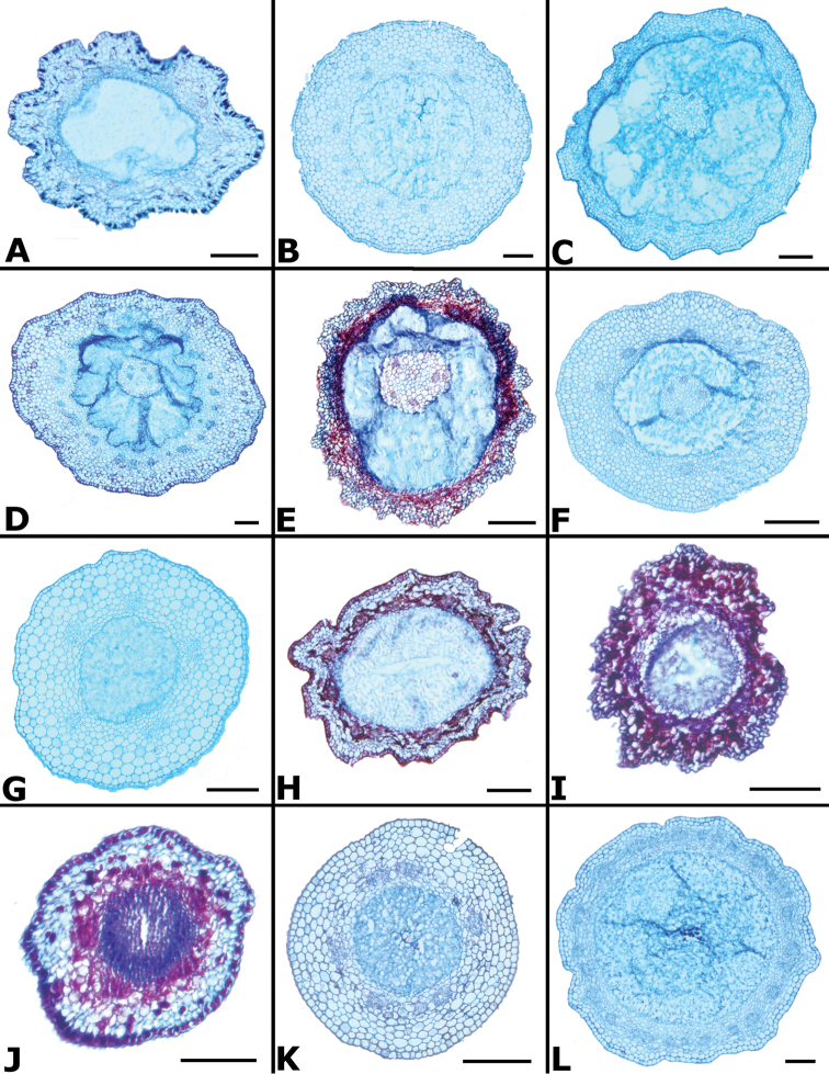 Figure 58.