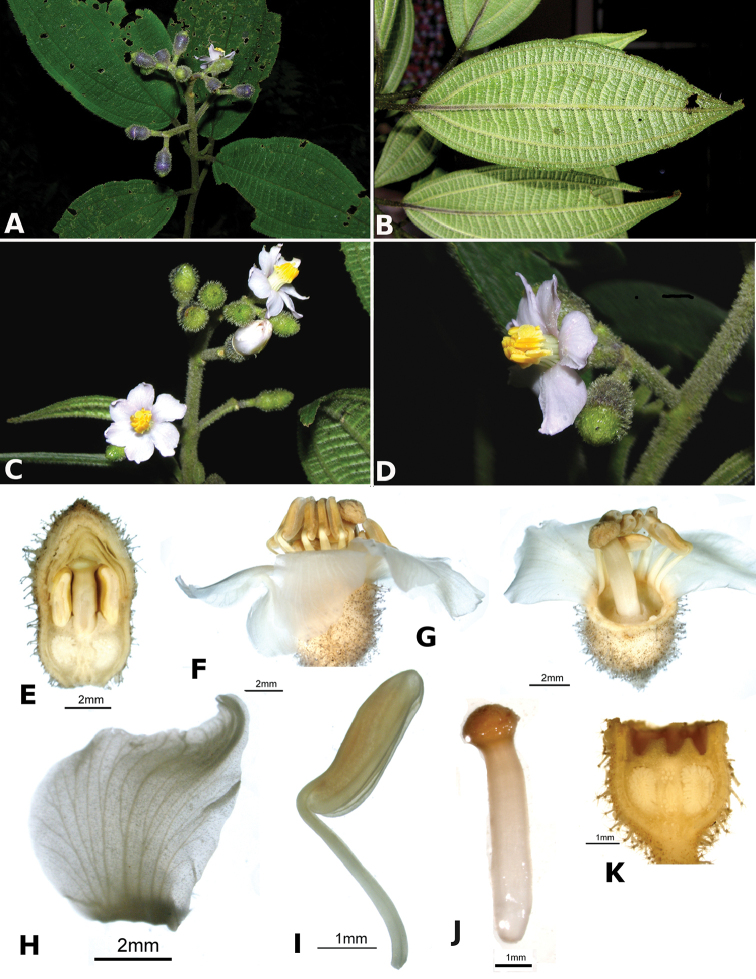 Figure 71.