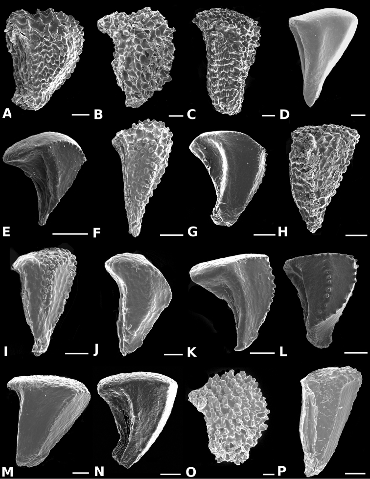 Figure 60.
