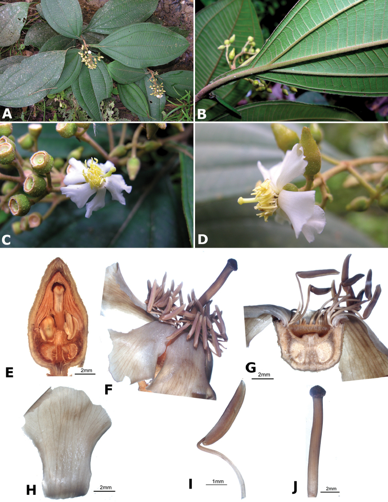 Figure 127.
