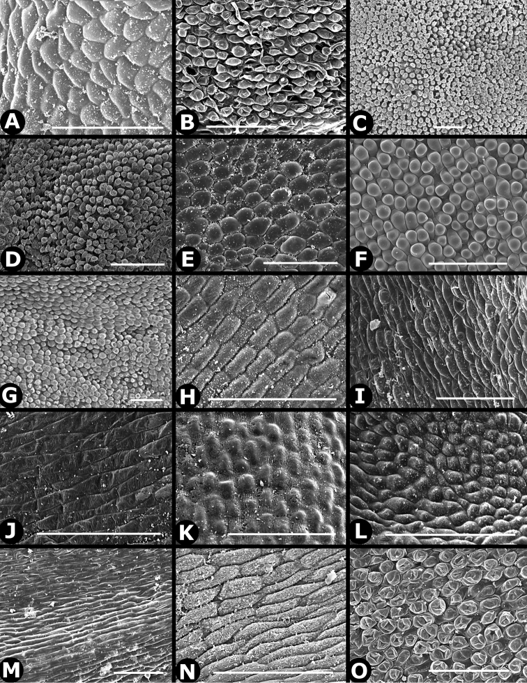 Figure 46.