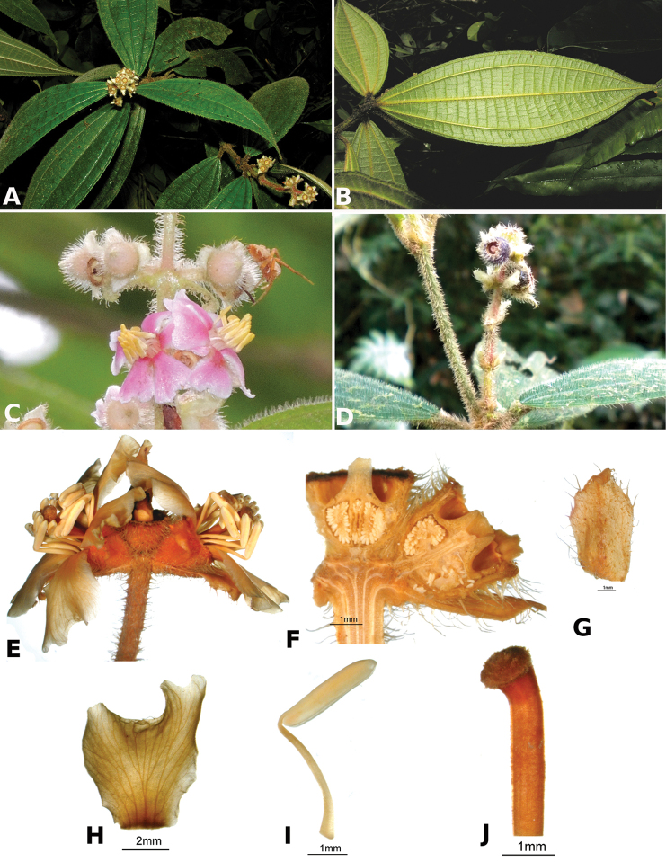 Figure 69.