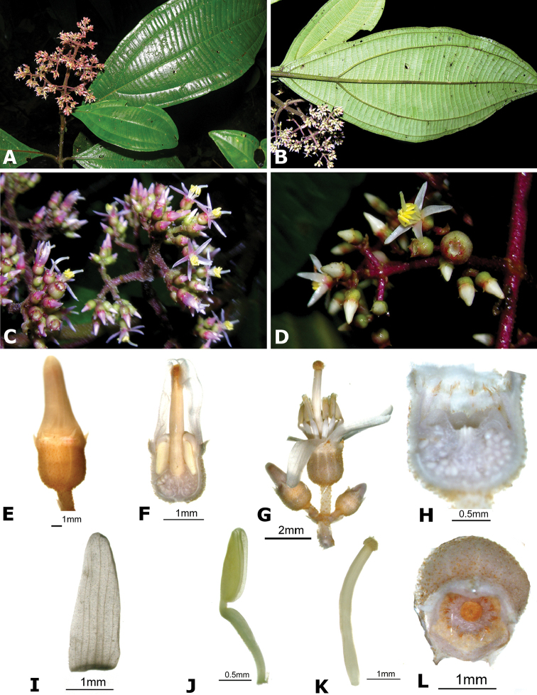 Figure 147.