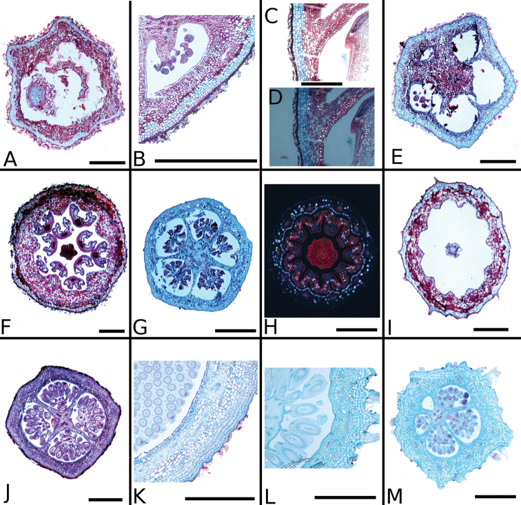 Figure 38.
