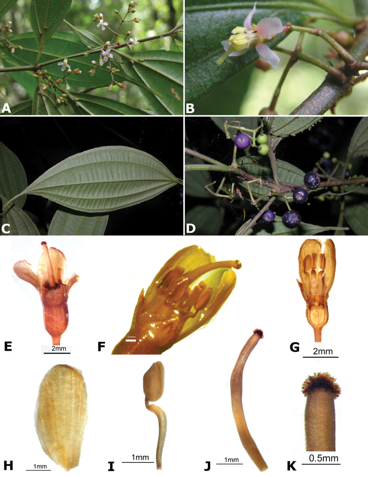 Figure 176.