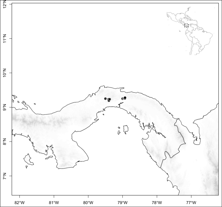 Figure 142.