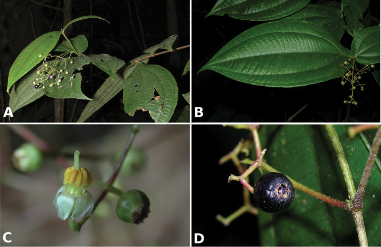 Figure 149.