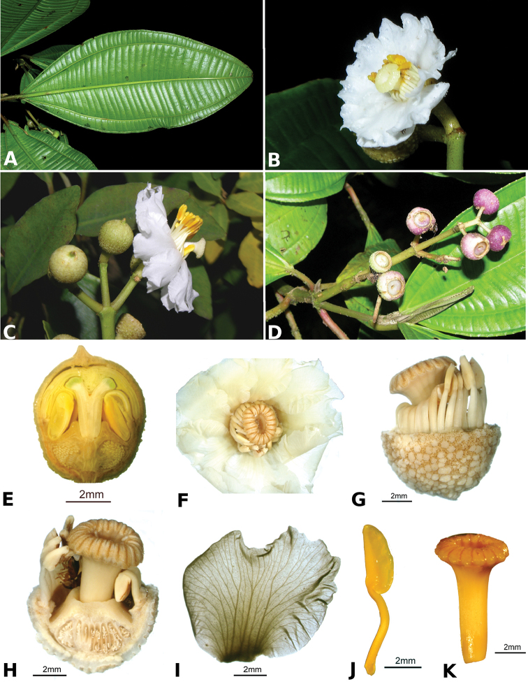 Figure 95.