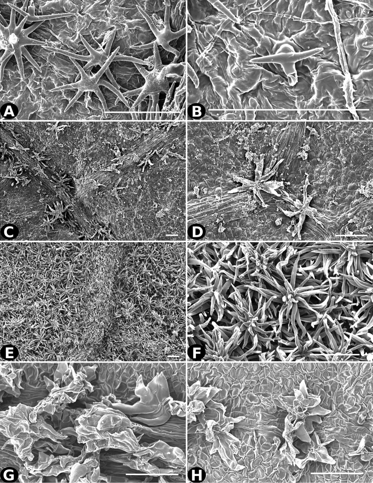 Figure 23.