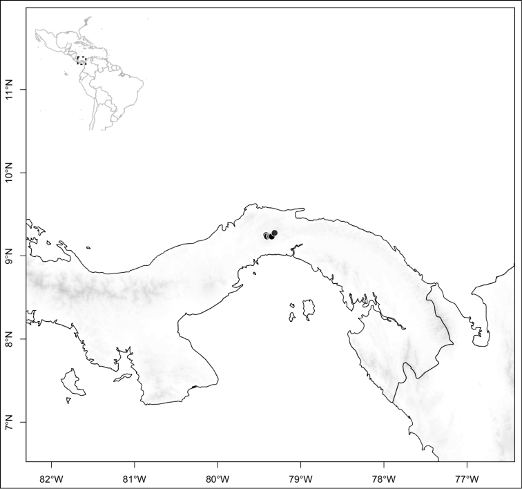 Figure 173.