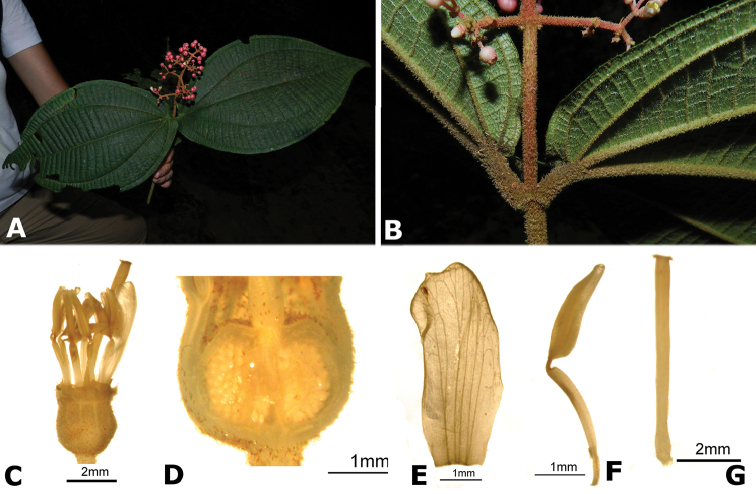 Figure 190.