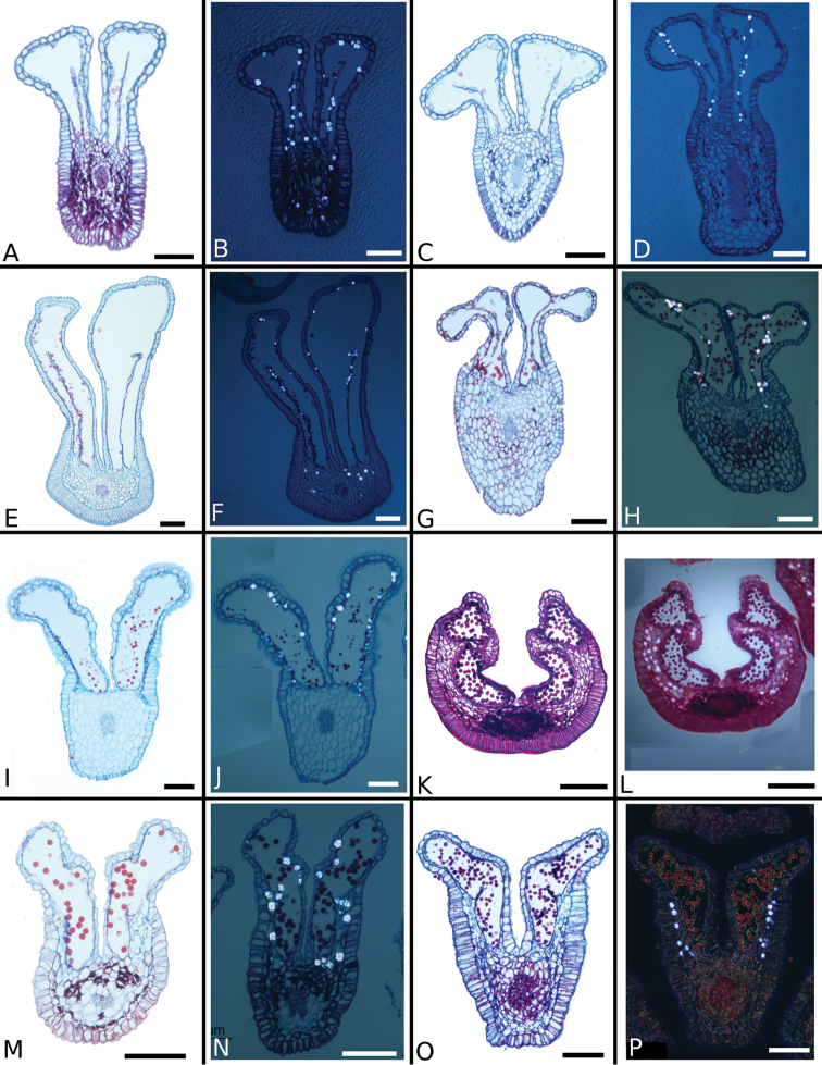 Figure 52.