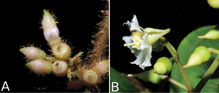 Figure 37.