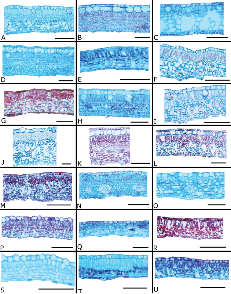 Figure 15.