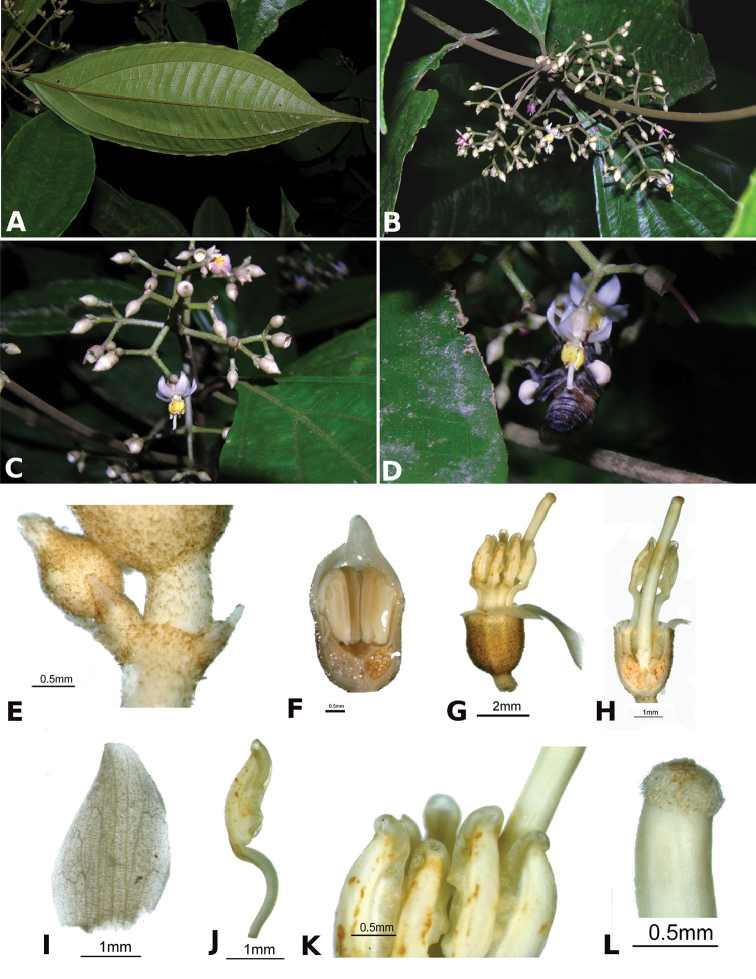 Figure 143.