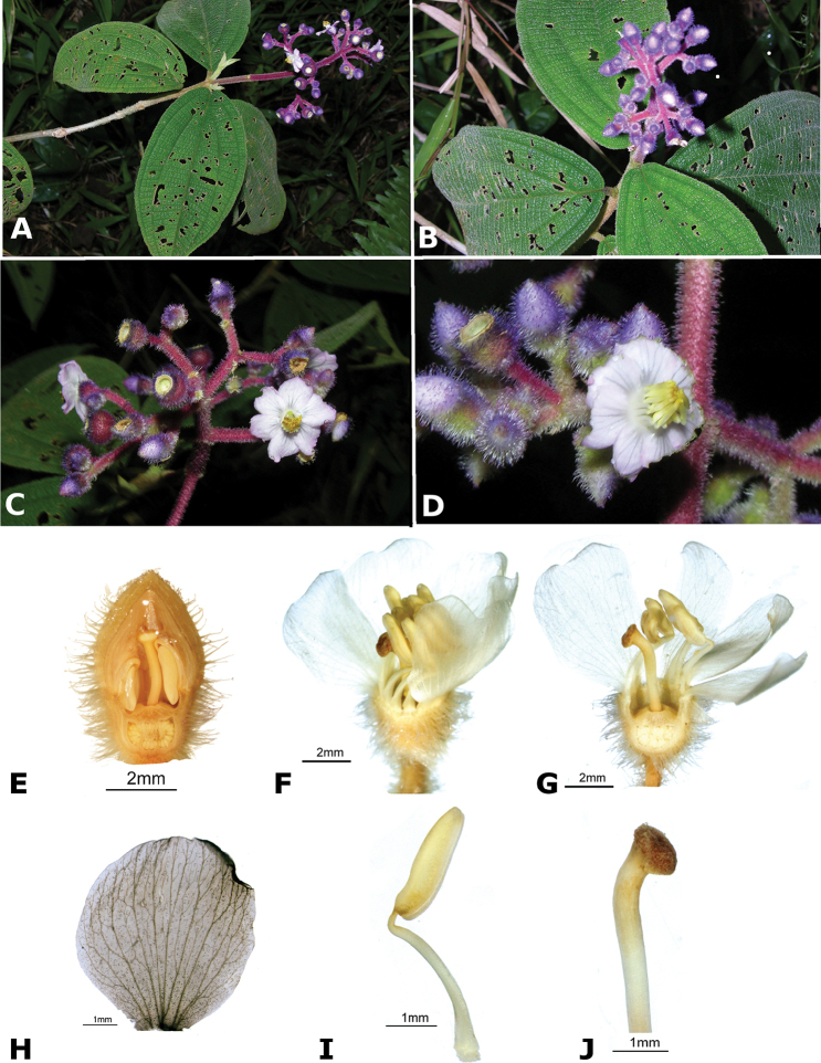 Figure 192.