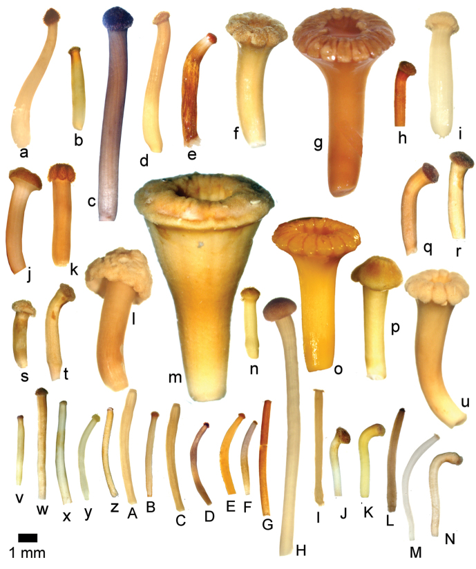 Figure 55.