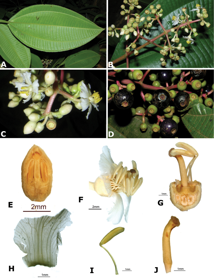 Figure 109.