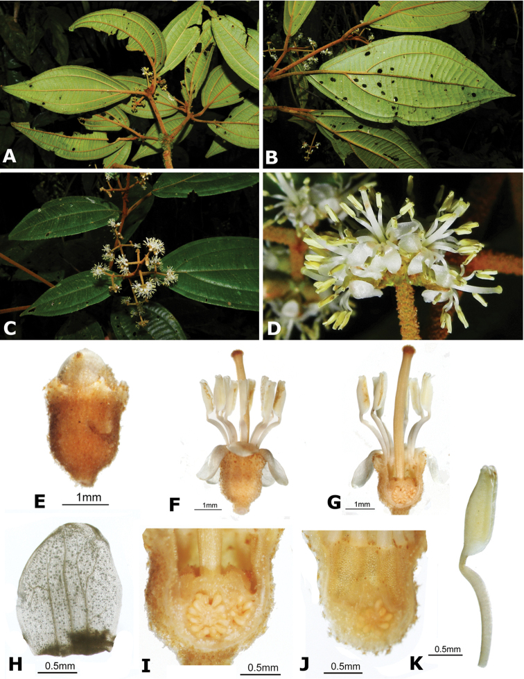 Figure 161.