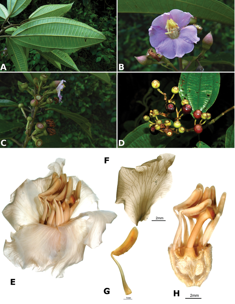 Figure 76.