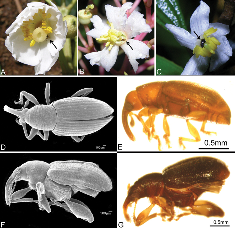 Figure 3.