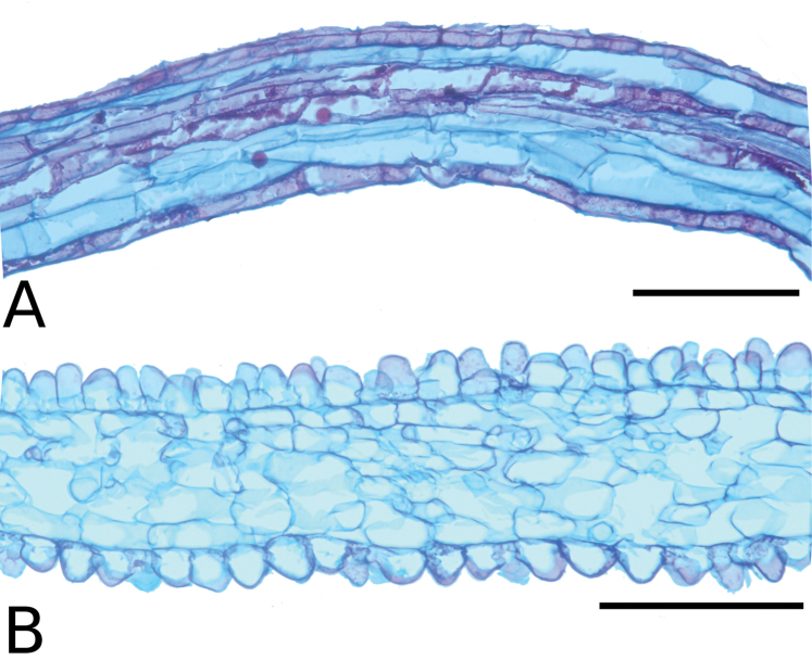 Figure 45.