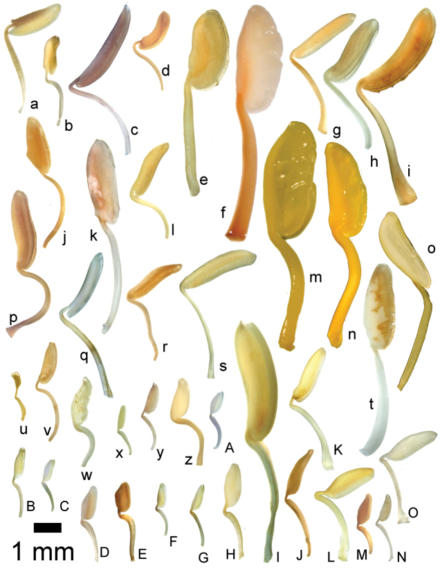 Figure 47.