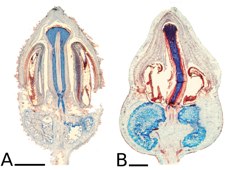 Figure 57.