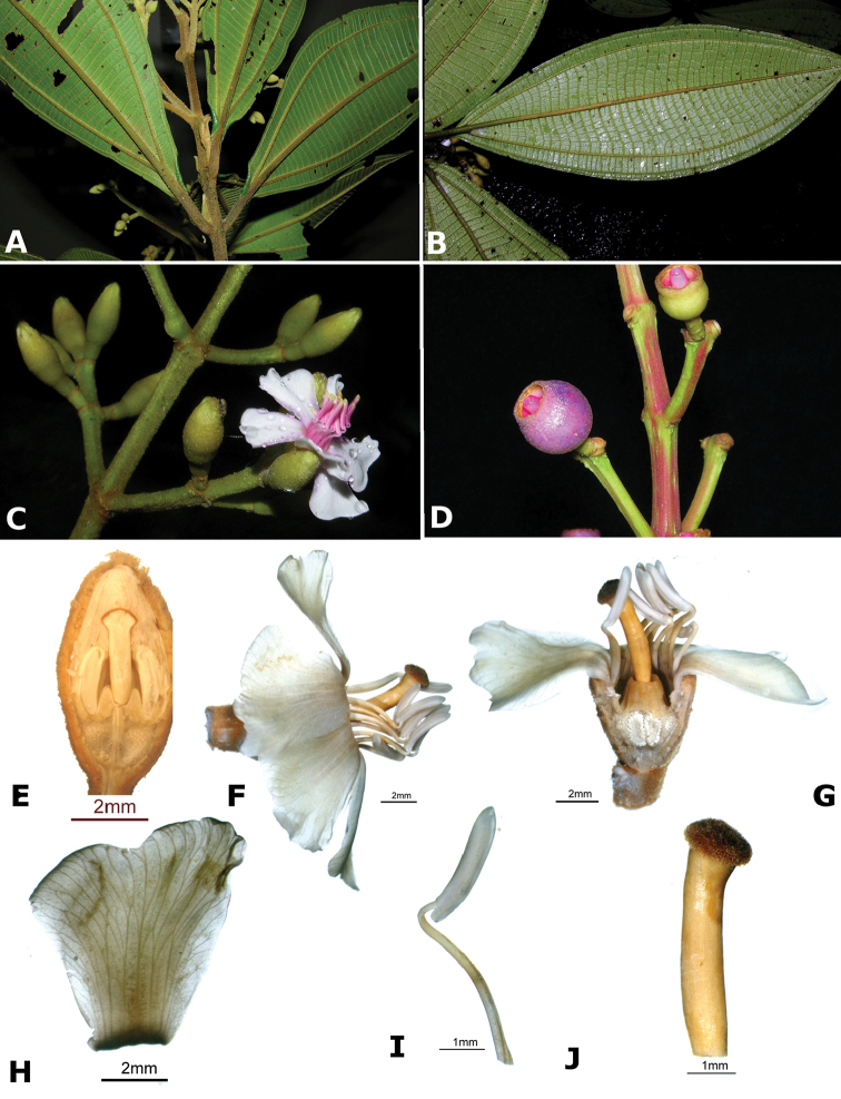 Figure 103.