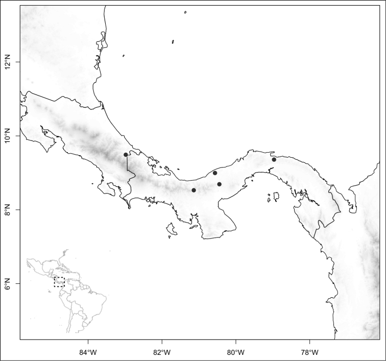 Figure 146.