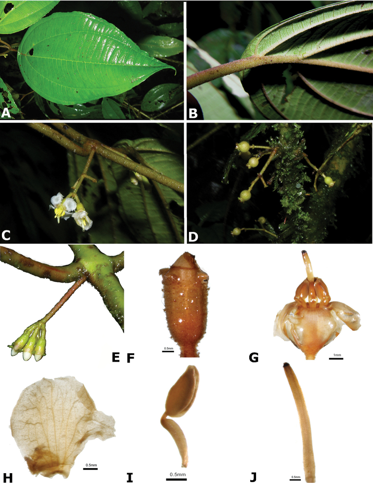 Figure 196.