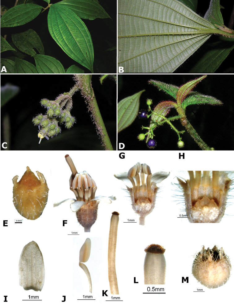Figure 165.