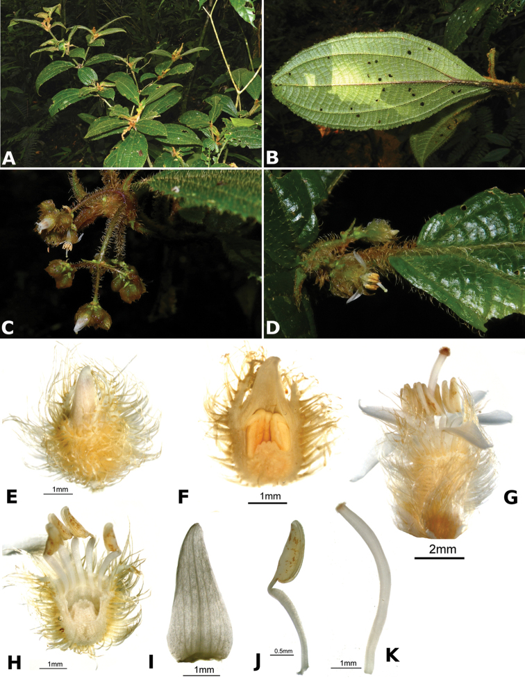 Figure 198.