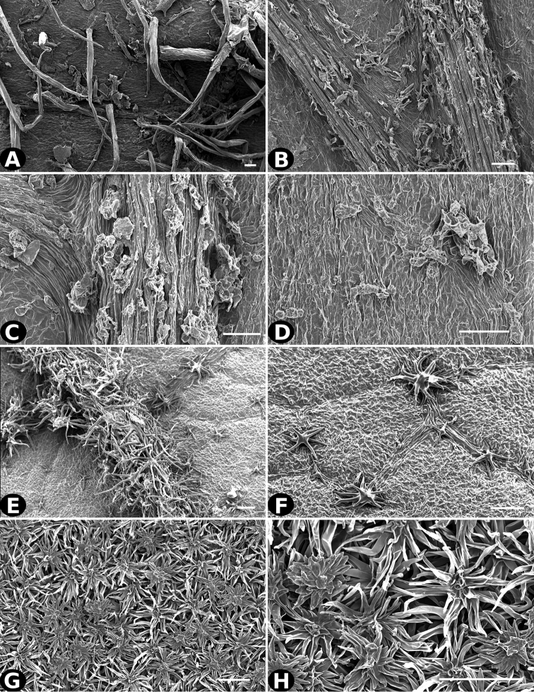 Figure 22.