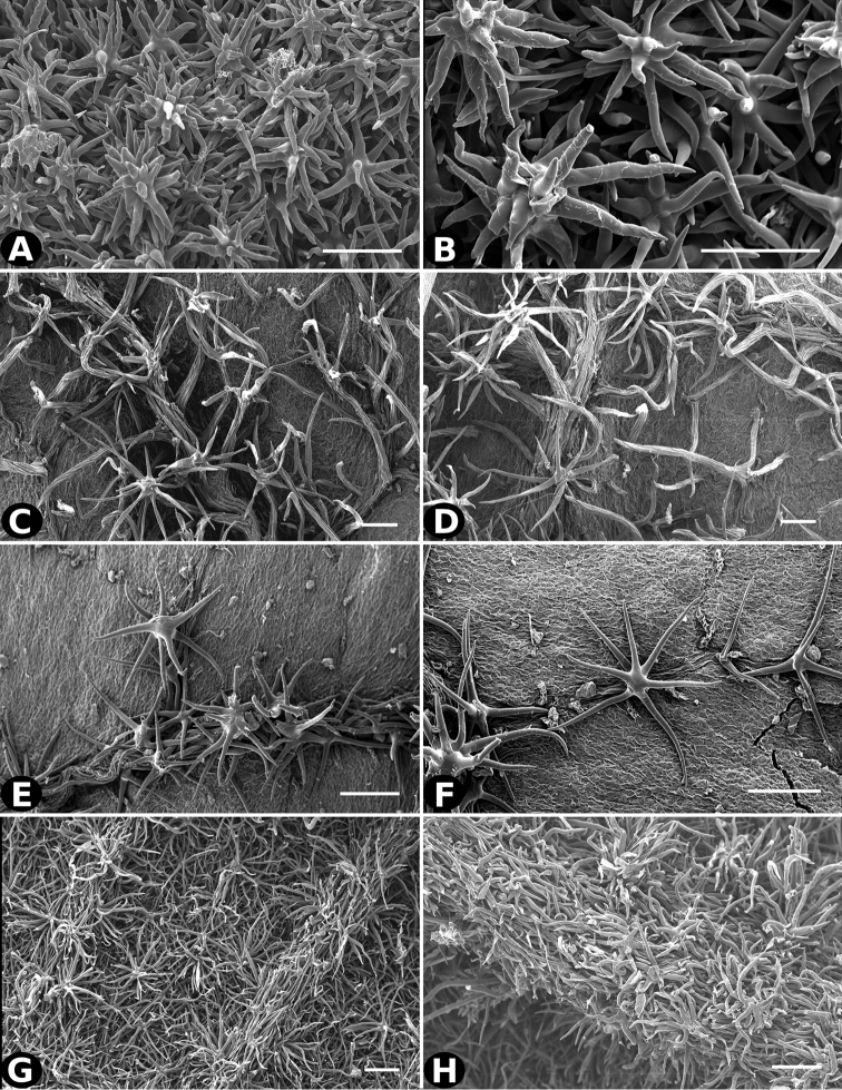 Figure 31.